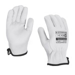 X-ECODRIVER